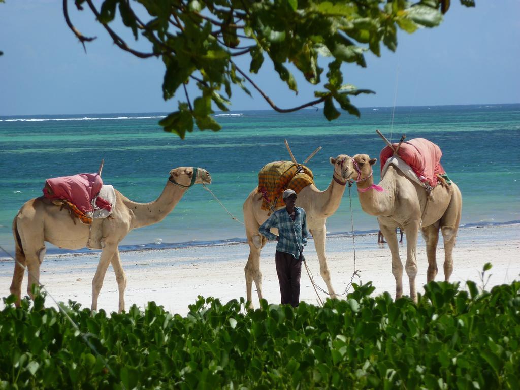 Lantana Galu Beach Diani Beach Εξωτερικό φωτογραφία